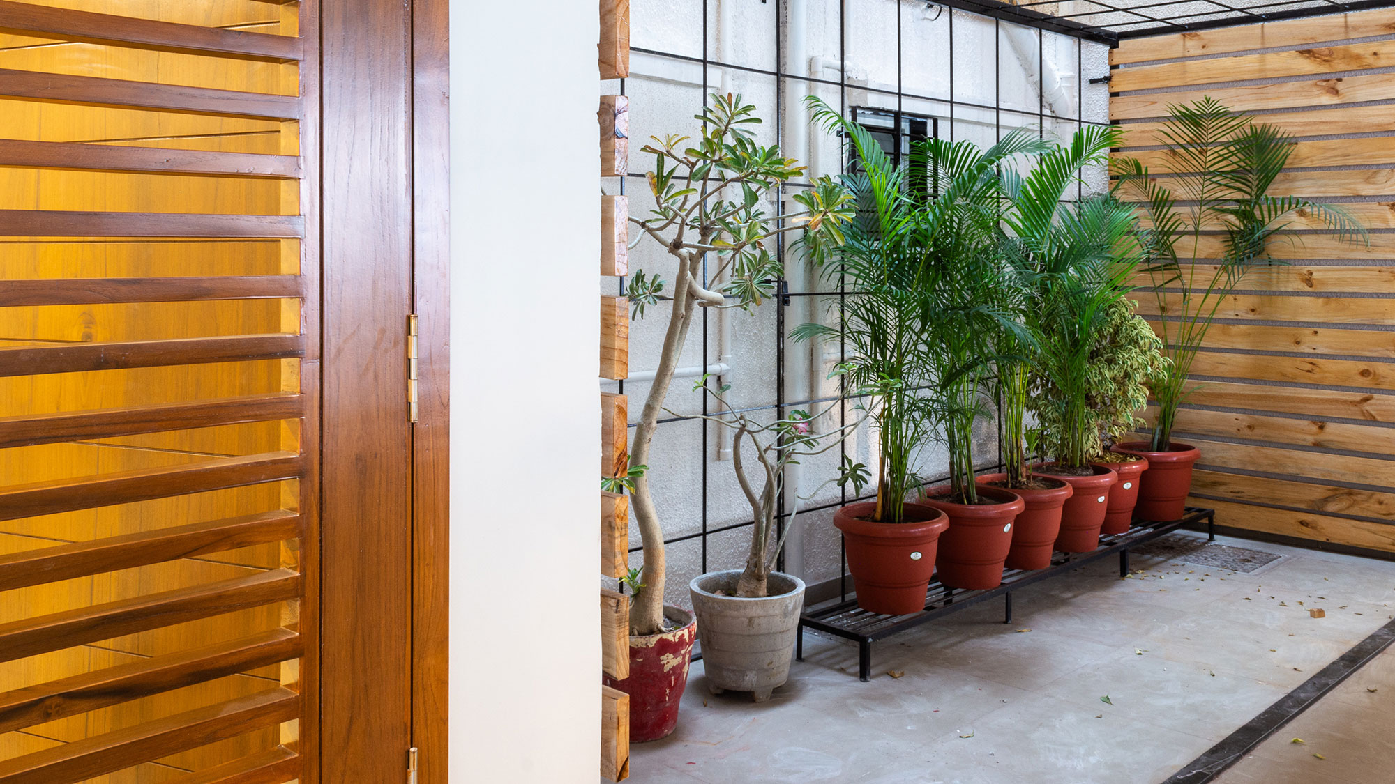 Aavas Guest House