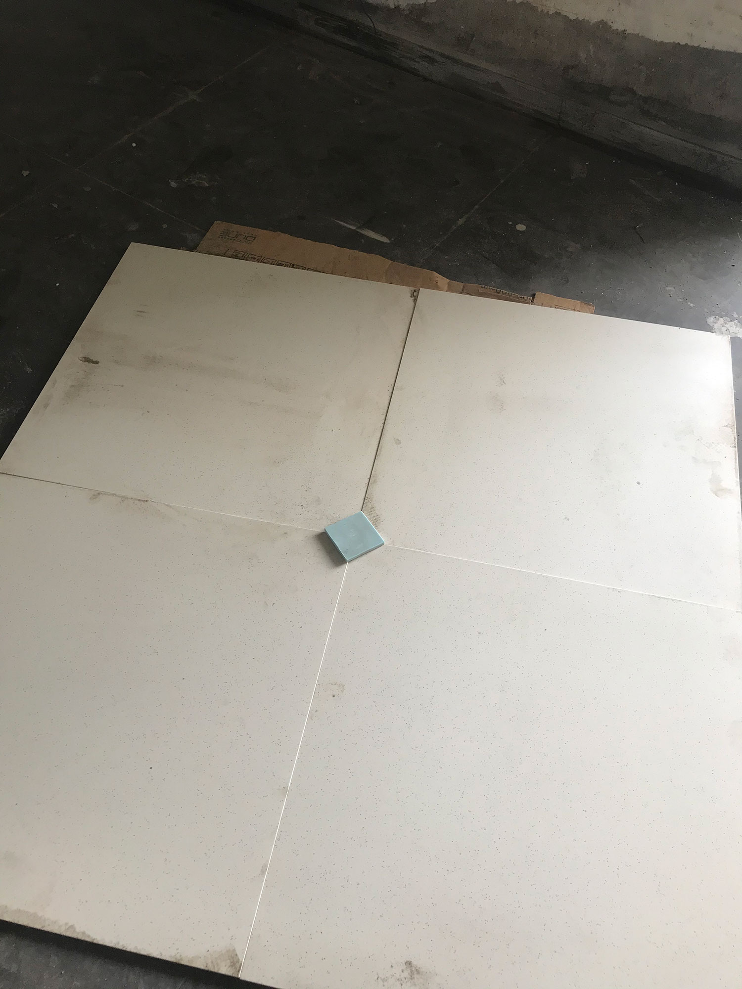 pic2